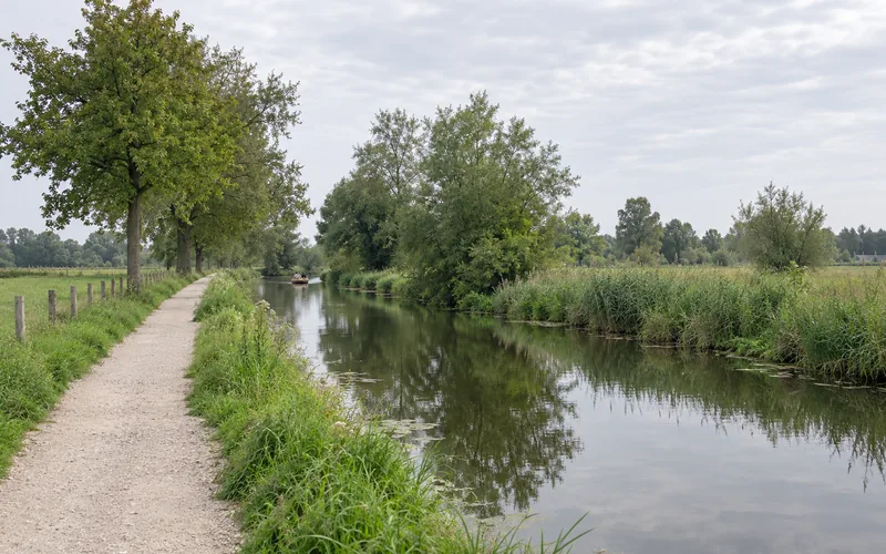 Die Niers bei Wachtendonk zwischen Schilfufern