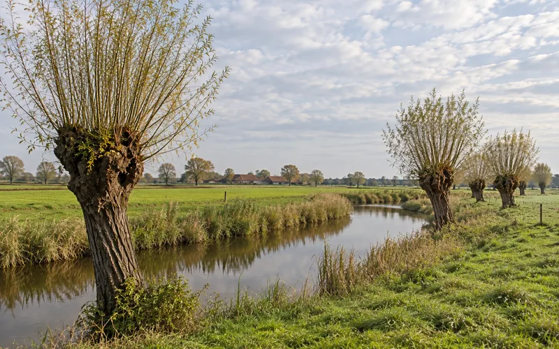 Die Niers zwischen Kopfweiden und Wiesen am Niederrhein